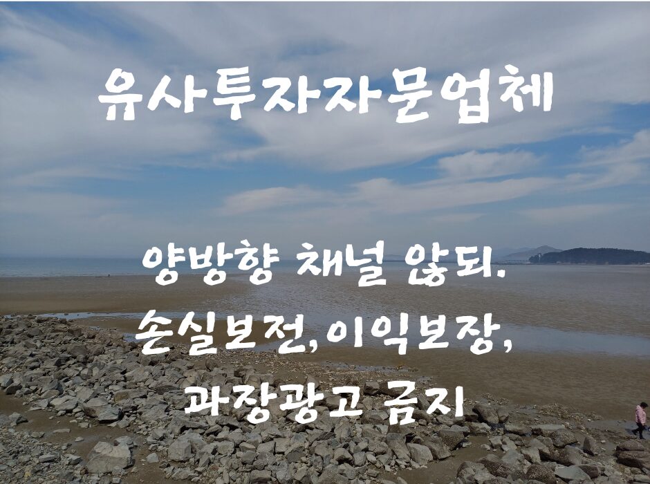 유사투자자문업체