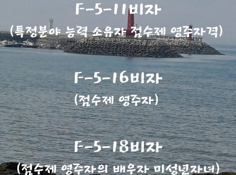 F-5-11비자(특정분야 능력 소유자 점수제 영주자격), F-5-16비자(점수제 영주자), F-5-18비자(점수제 영주자의 배우자 미성년자녀)