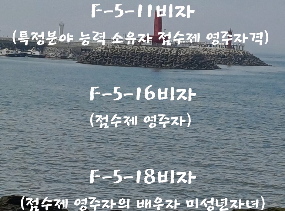 F-5-11비자, F-5-16비자, F-5-18비자