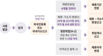 외국국적동포