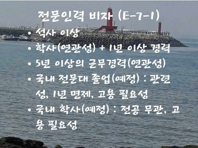 전문인력 비자